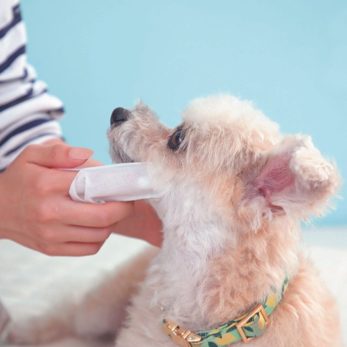 撮影／尾﨑たまき