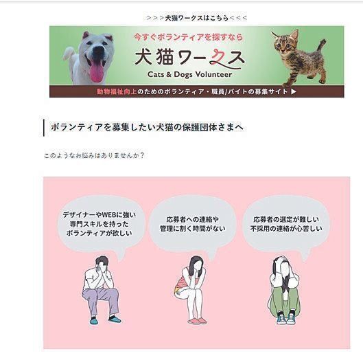 財団によるボランティア求人サイト「犬猫ワークス」では、エリア、有償・無償、スキルの種類などから団体を選ぶことが可能