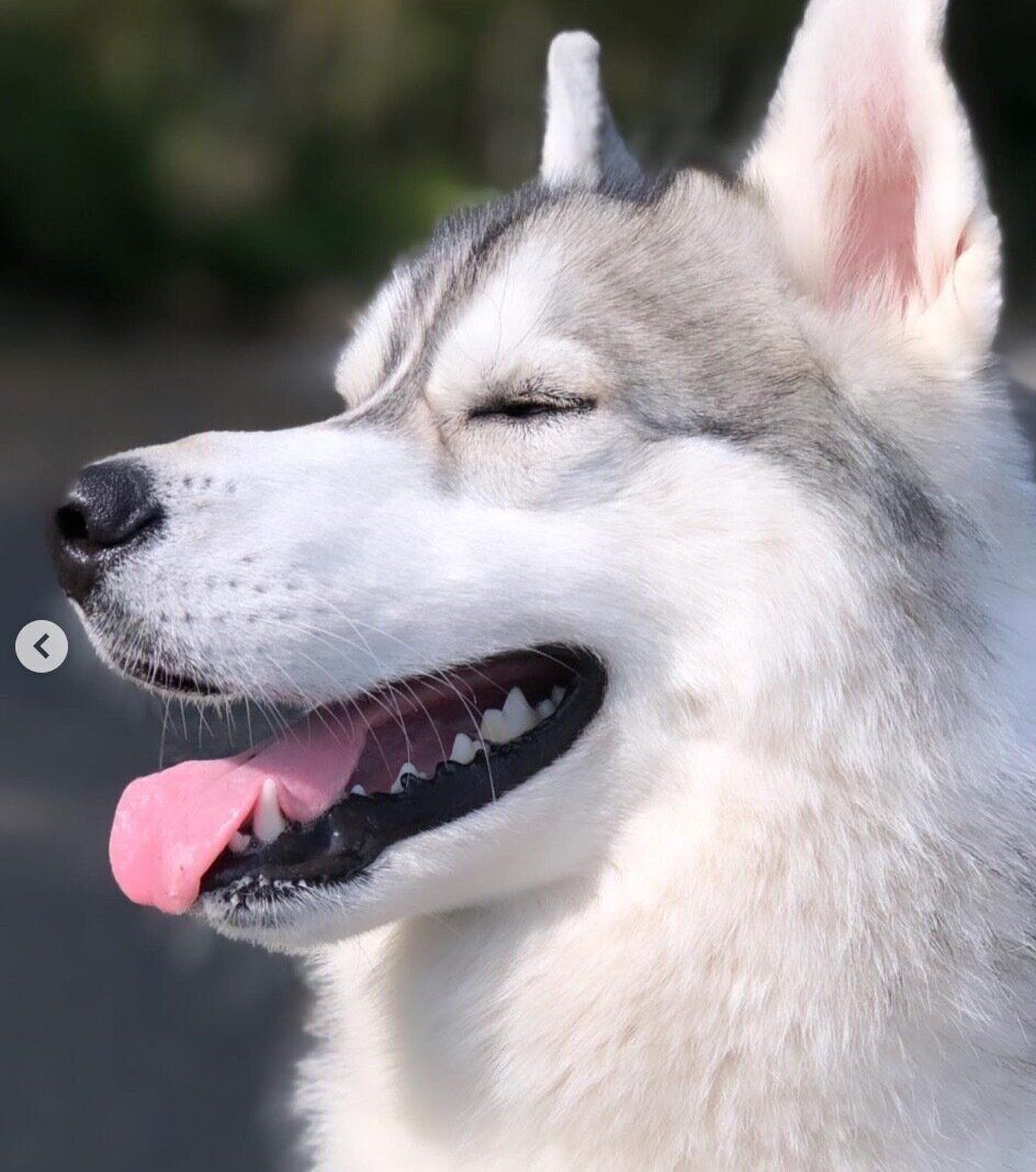 楽しそうなロッキーくん