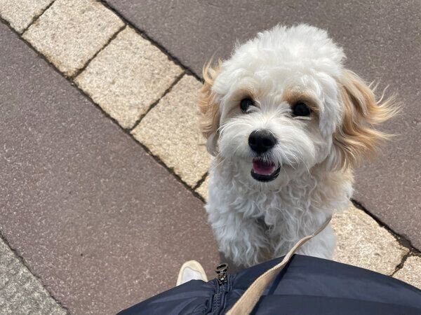 嬉しそうなもうふくん