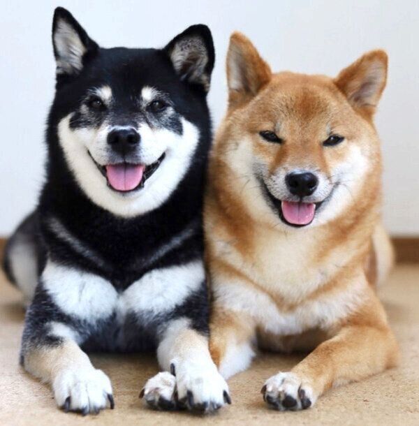 笑顔が可愛いみくちゃん、りなちゃん