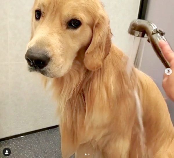 朝風呂でテンションが下がるアランくん