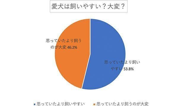 愛犬は飼いやすい? 大変?