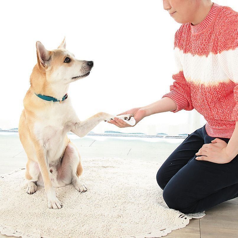 撮影／尾﨑たまき