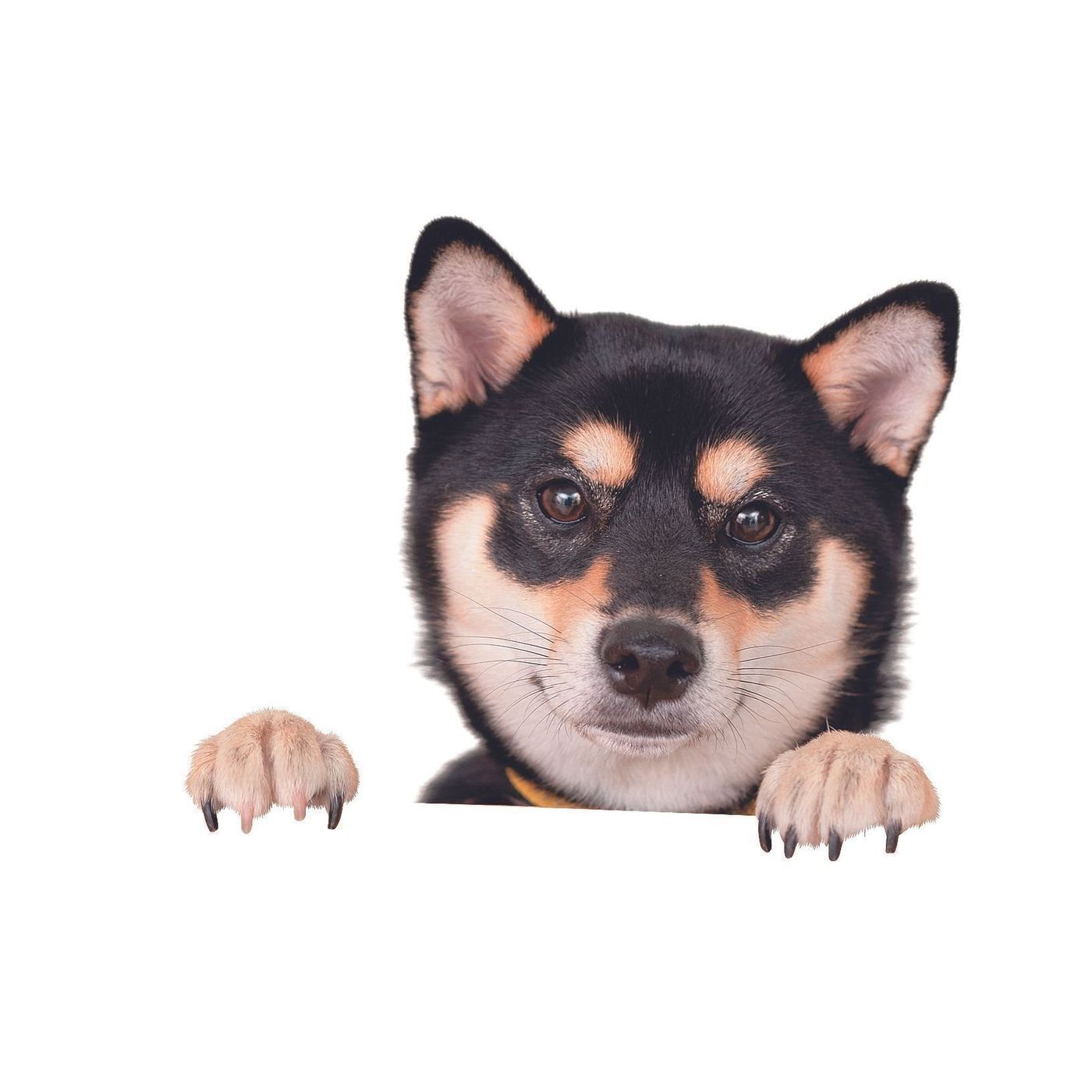 Eew7ixneoq0jhm Eew7ixneoq0jhm