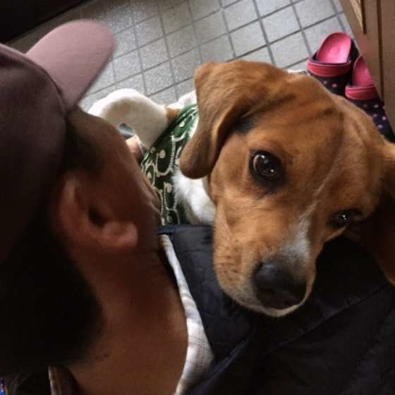 【獣医師監修】犬の足裏を洗い過ぎ?お散歩後のケア方法