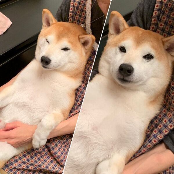 足ふき中のこたろうくん