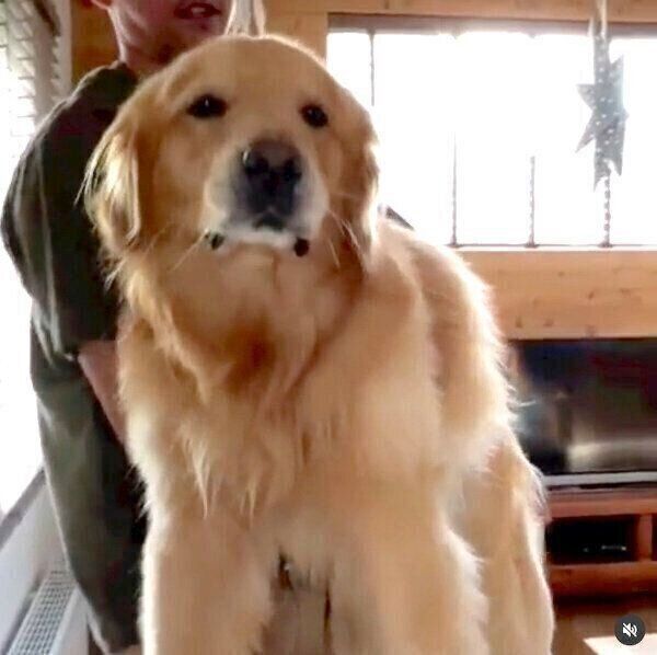 お風呂場に連行されるモッシュくん