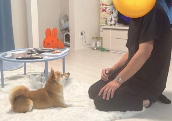 “おじさん”との初対面のわさびくん