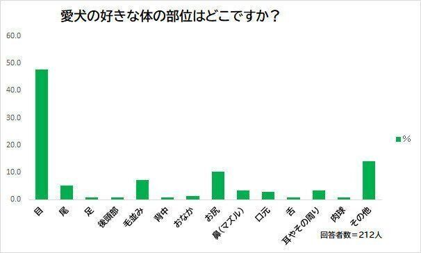 愛犬の好きな体の部位は?