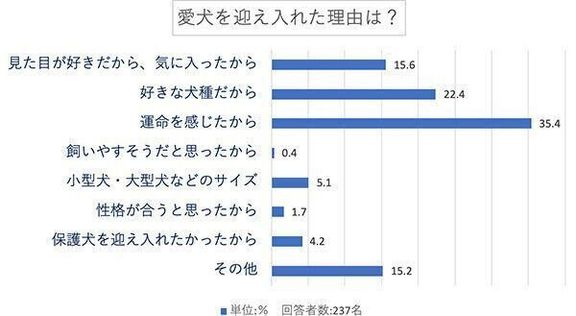 愛犬を迎え入れた理由は?