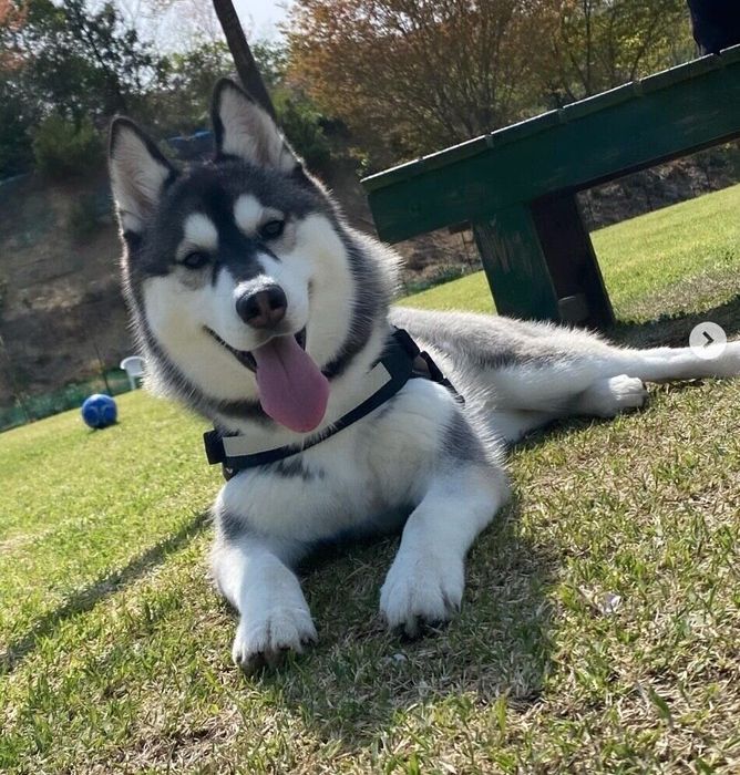 笑顔が可愛いヴィヴィちゃん