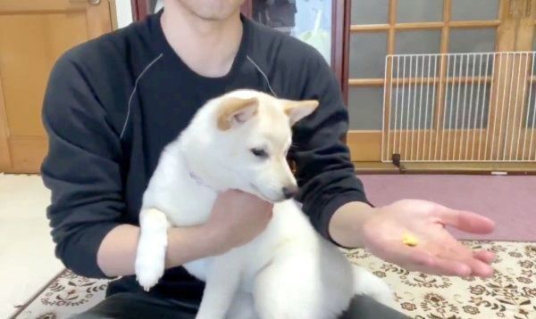 絶望感がハンパないはるちゃん