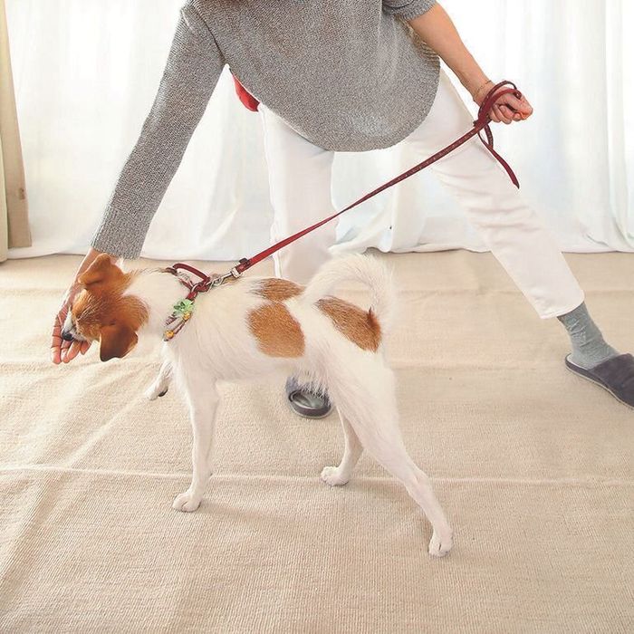 撮影/尾﨑たまき