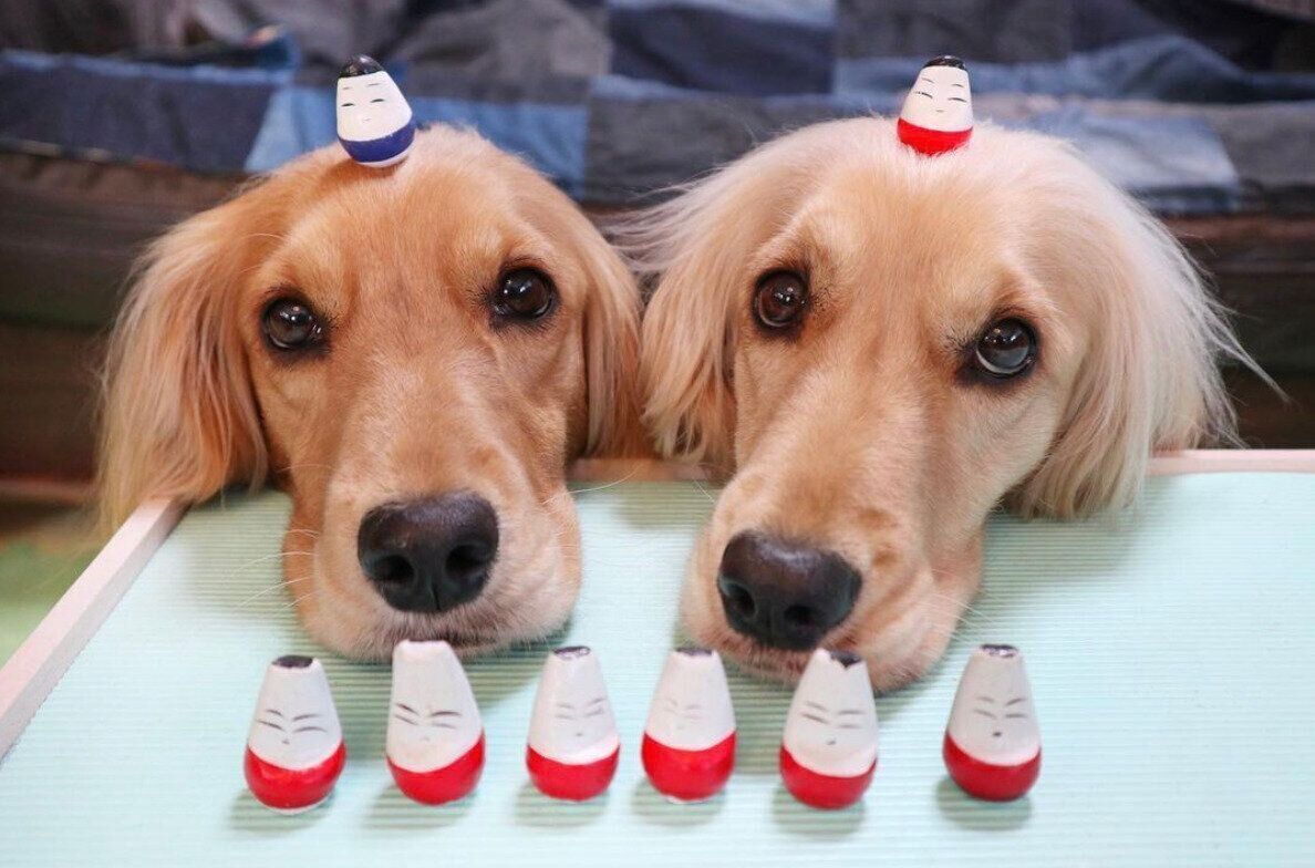 起き上がり小法師とシンクロ