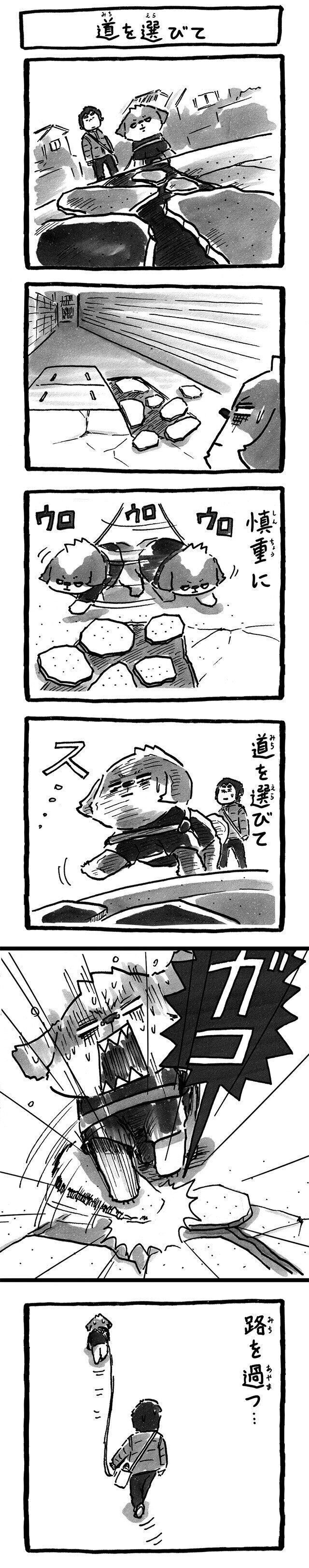 シーズー犬マンガてんぽshihtzu