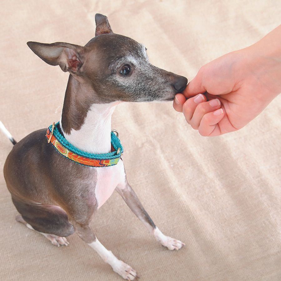 撮影／尾﨑たまき