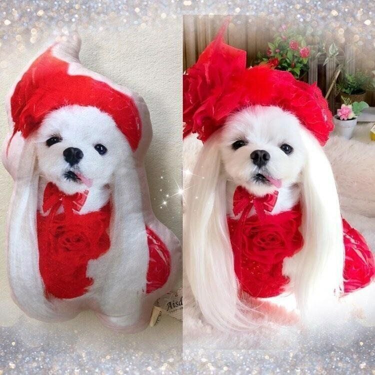 赤い洋服がステキ