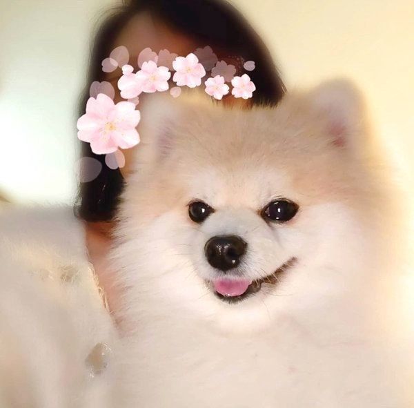 不敵な笑みを浮かべるこうめちゃん