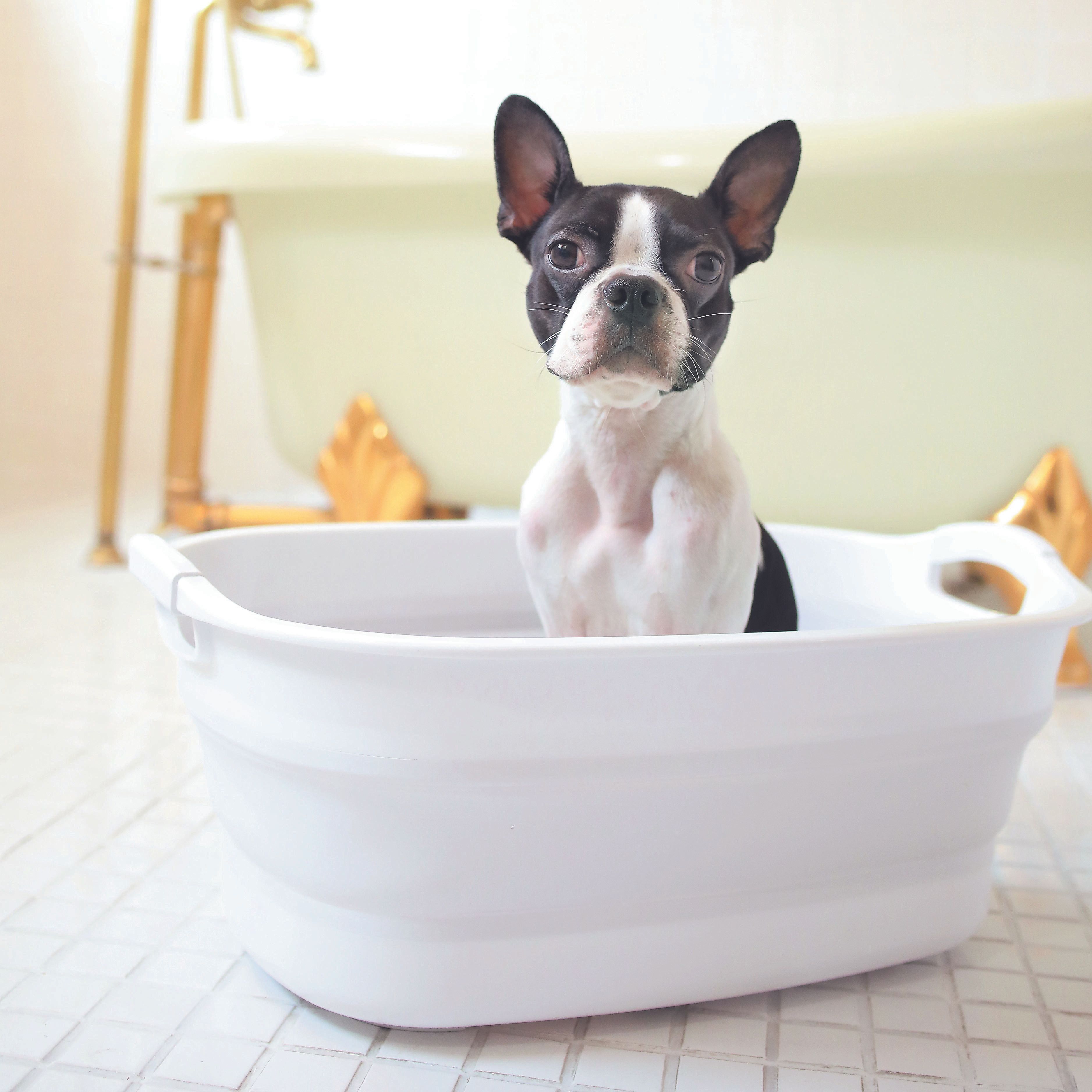 撮影／尾﨑たまき