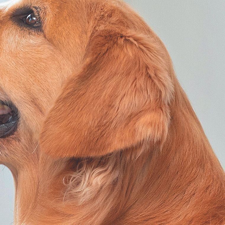 撮影／伊東武志