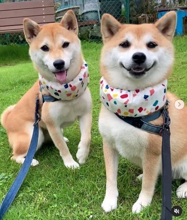 笑顔が可愛いあくびちゃんとむくりちゃん