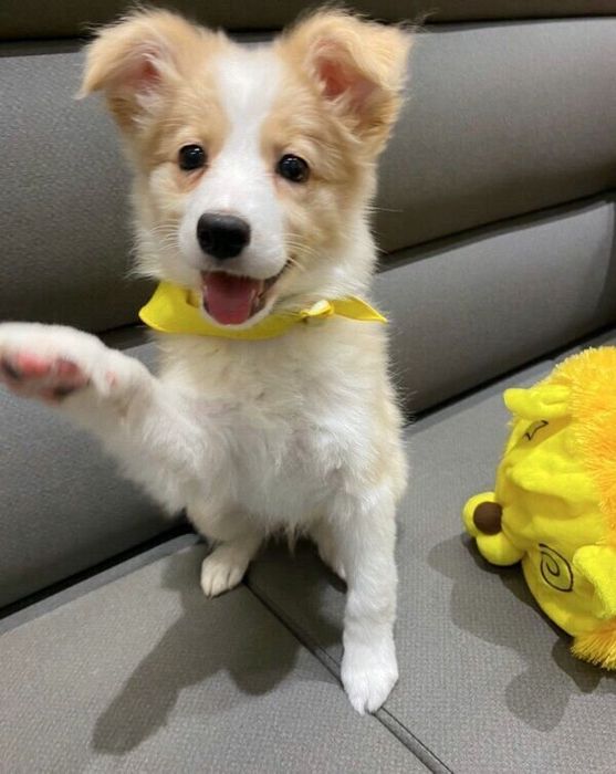 笑顔が可愛いむぎちゃん