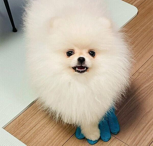 見つめるむうちゃん