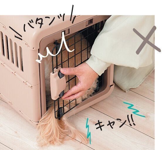 扉にしっぽを挟む犬