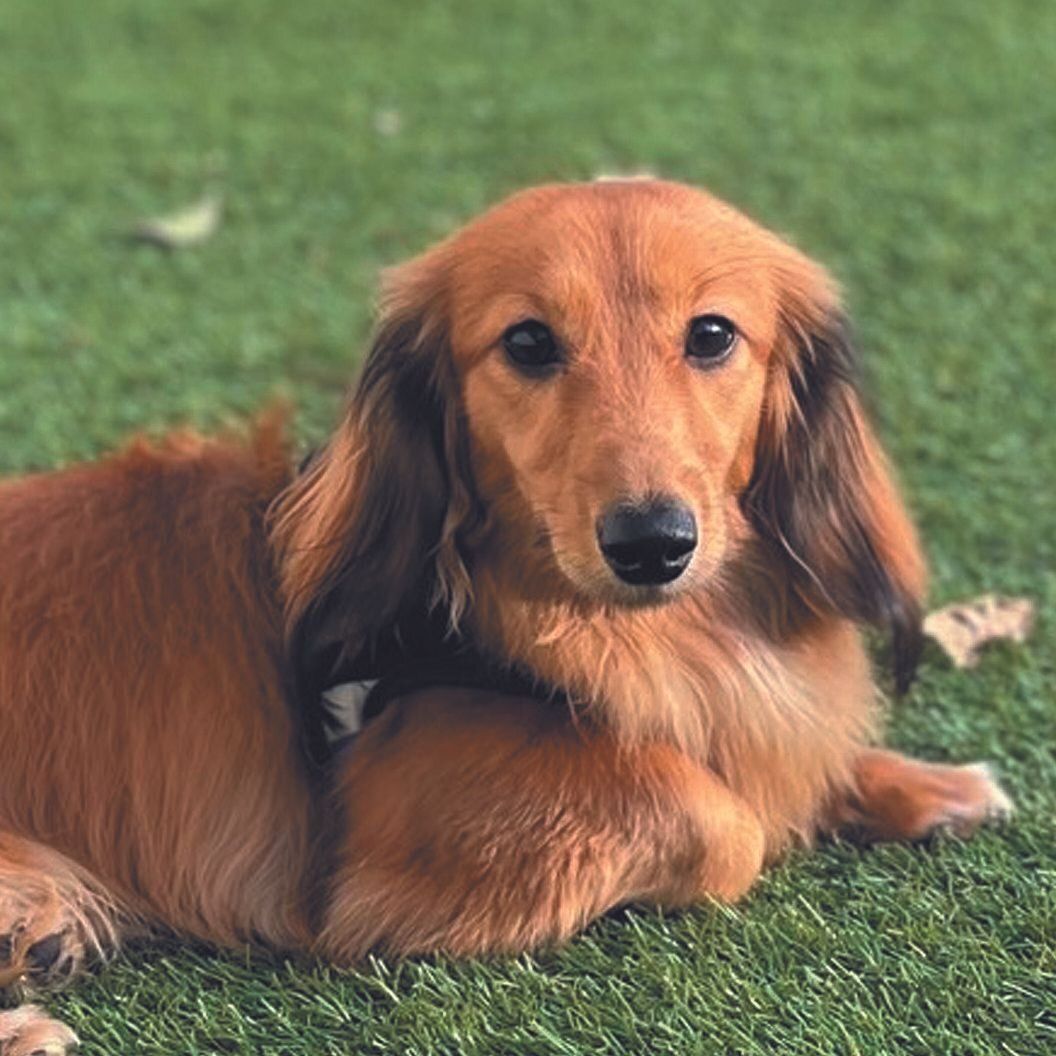 M字眉が消えた！