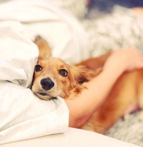 甘えるハルくん