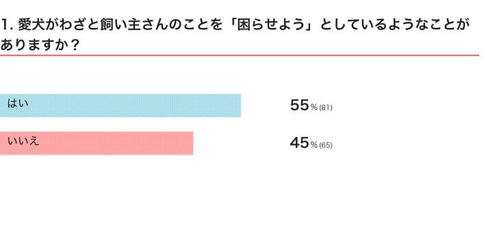 いぬのきもちWEB MAGAZINE『犬の行動に関するアンケートvol.11』 147件の回答
