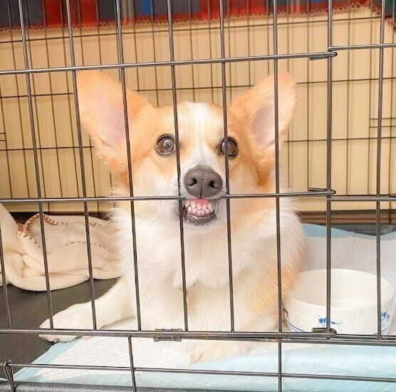 歯茎を見せる優ちゃん