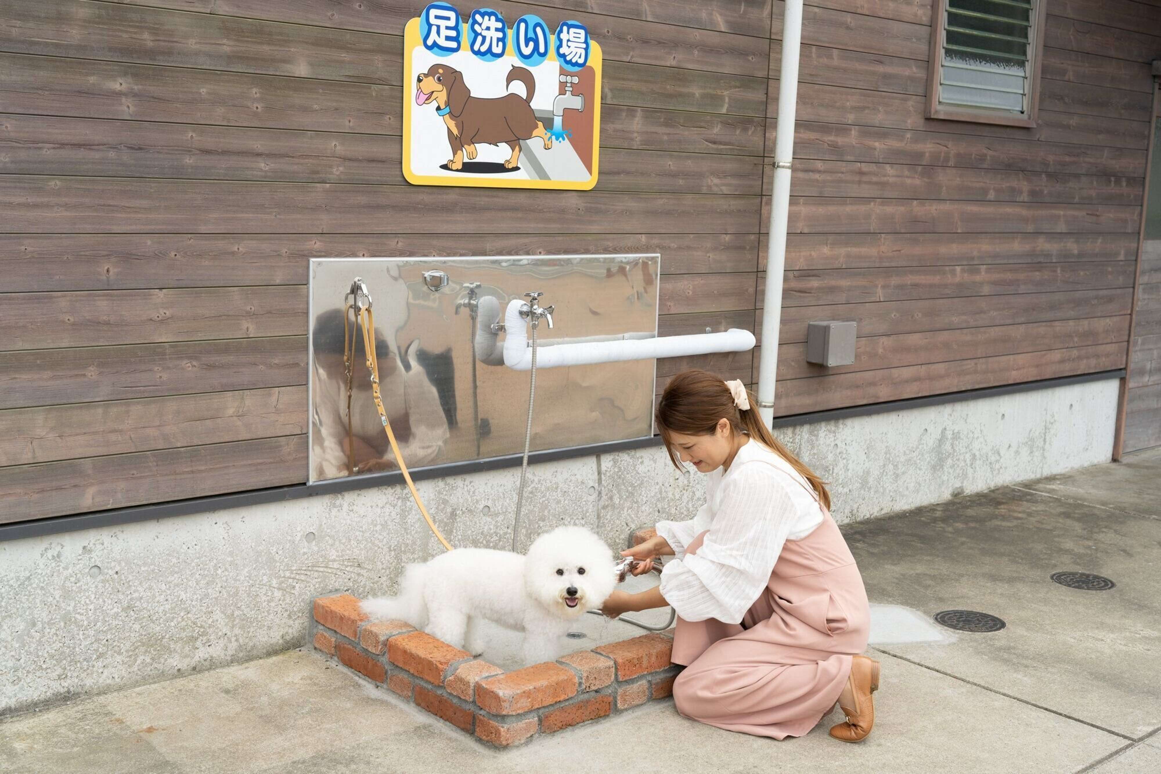 Pr 体験レポ 千葉県 マザー牧場 は犬連れのお出かけに最高な遊び場でした いぬのきもちweb Magazine Pr 体験レポ 千葉県 マザー牧場 は犬連れのお出かけに最高な遊び場でした いぬのきもちweb Magazine