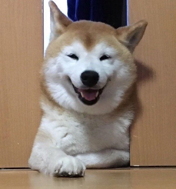 笑顔を見せるロペさん