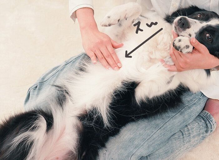 STEP 2. 体の中心を通り、胸（膻中）まできたら軽く押す