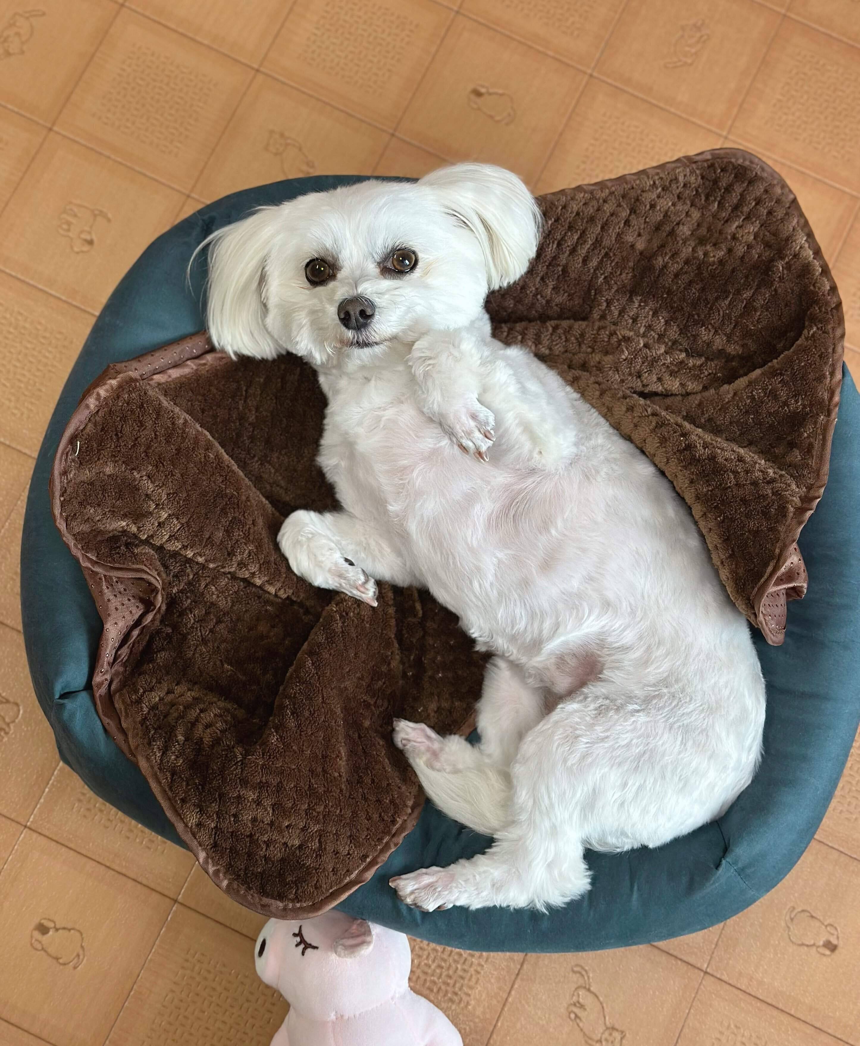 “あざとかわいい”ポーズとして投稿された1枚