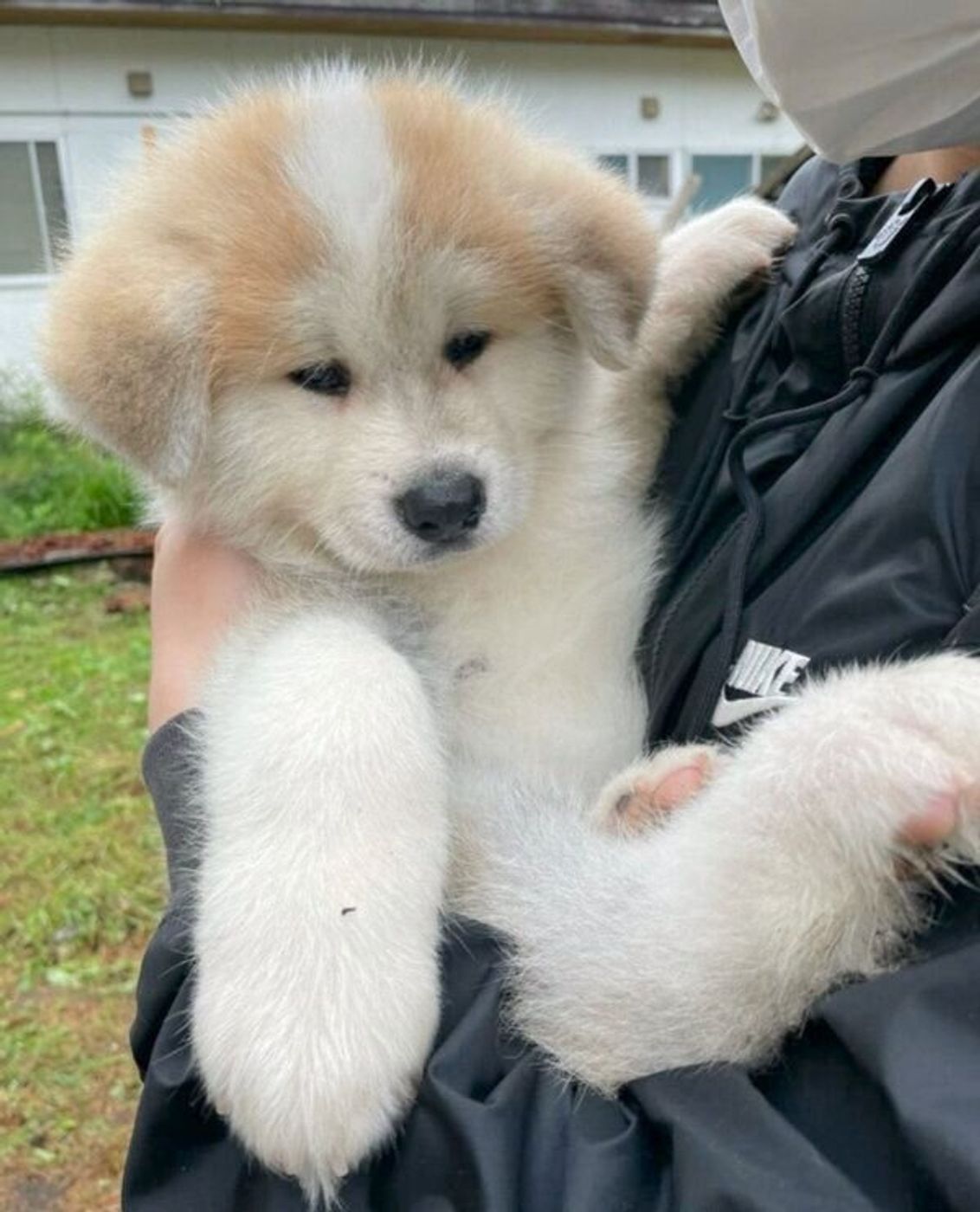 Ks2hdytehtkwvm Ks2hdytehtkwvm