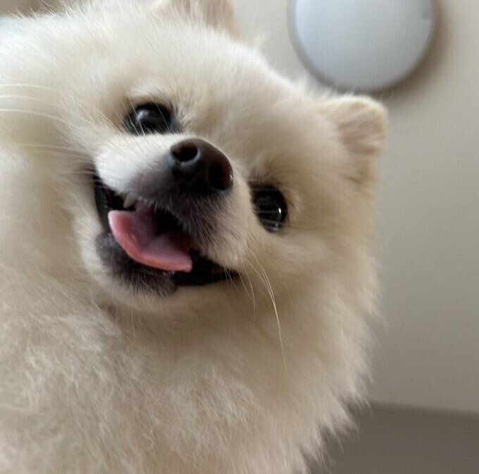 のぞき込む天くん