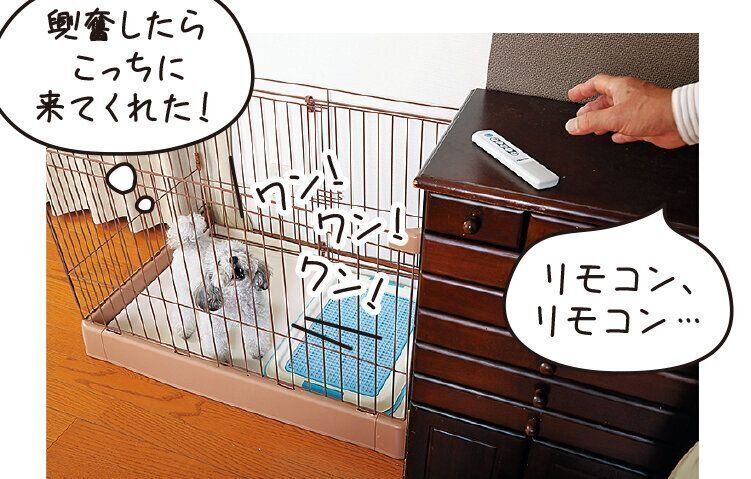 撮影／尾﨑たまき