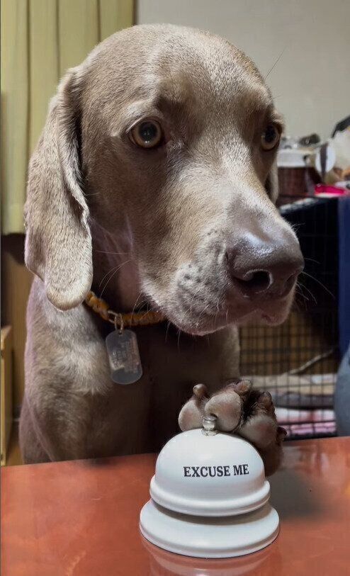 おやつのためなら何度でも！