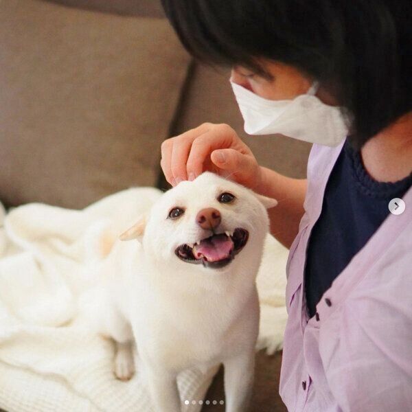 おばあちゃんのことが大好きなまめたちゃん