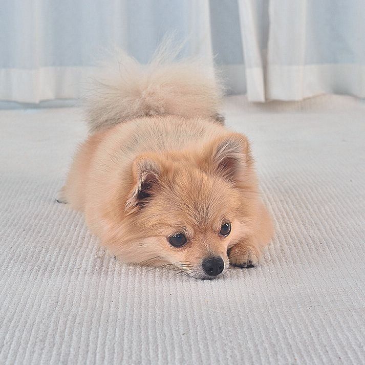 撮影／佐藤正之