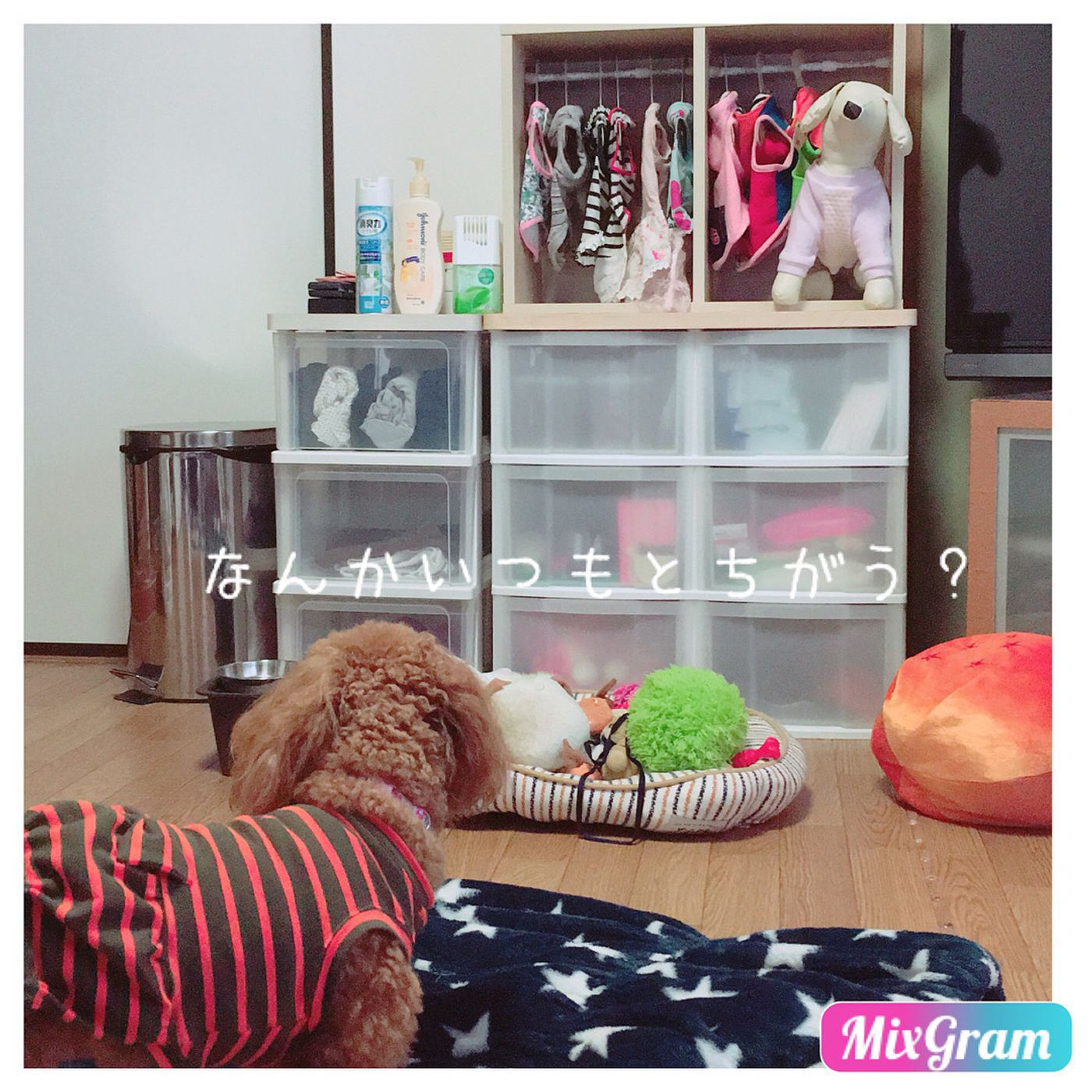 犬用ベッドやクローゼットも 簡単 オシャレな100均diyアイデア5選 いぬのきもちweb Magazine 犬用ベッドやクローゼットも 簡単 オシャレな100均diyアイデア5選 いぬのきもちweb Magazine