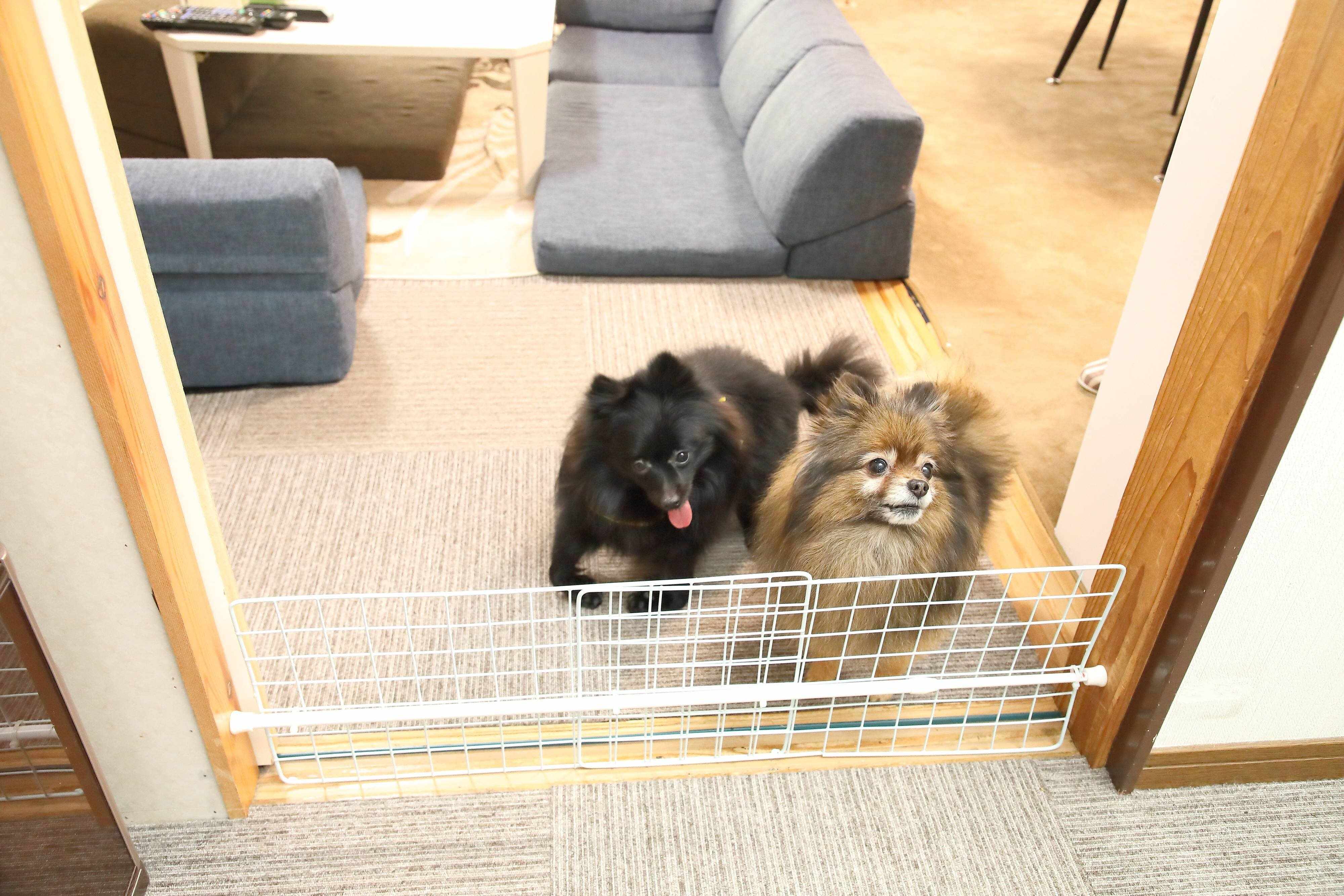 段差が極力減らされた部屋。危険な場所には、手作りの侵入防止ゲートが設置されています（撮影／尾﨑たまき）