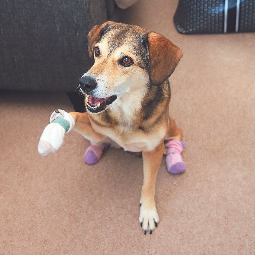 撮影／尾﨑たまき