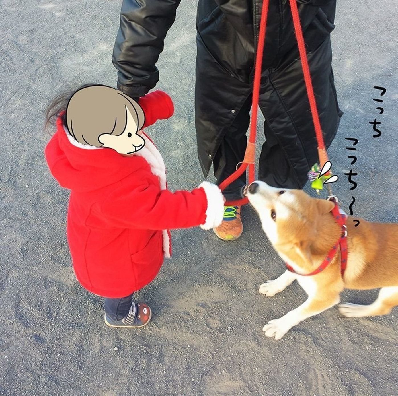 内弁慶な娘とその逆の柴犬タロさん 連載 モフモフ柴とプニプニ娘 第43話 いぬのきもちweb Magazine 内弁慶な娘とその逆の柴犬タロさん 連載 モフモフ柴とプニプニ娘 第43話 いぬのきもちweb Magazine