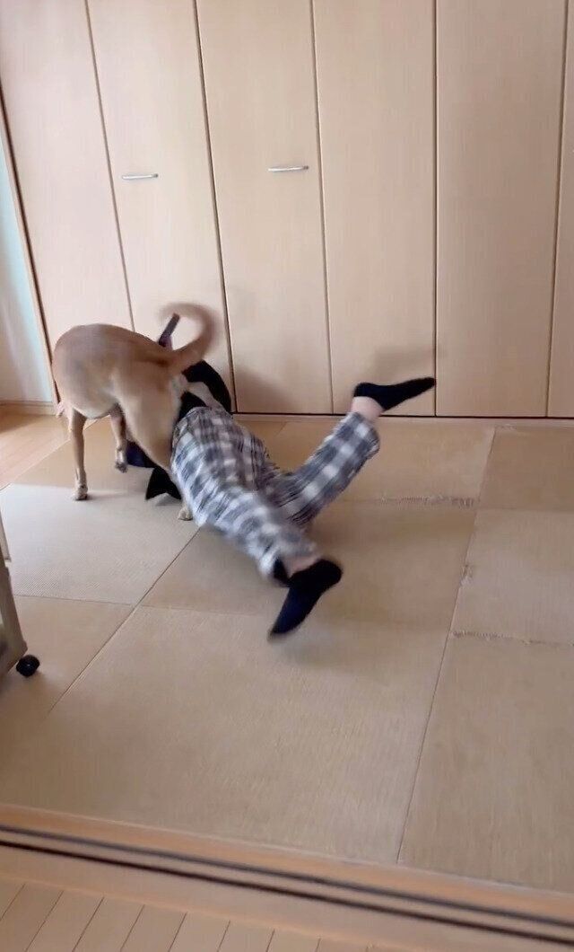 お兄ちゃんに飛びついて喜ぶコタくん