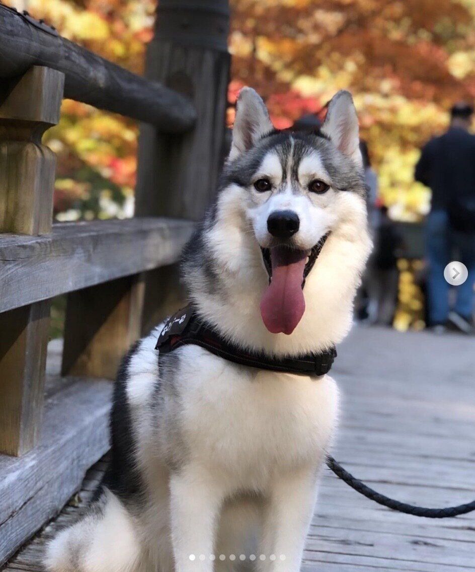 成長したロッキーくん