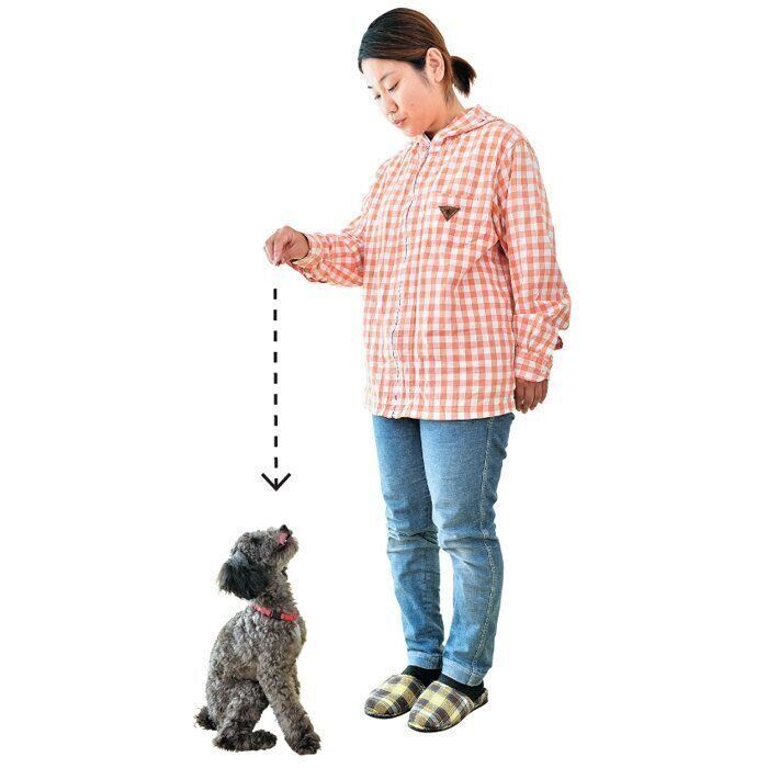 真上からフードを落とす